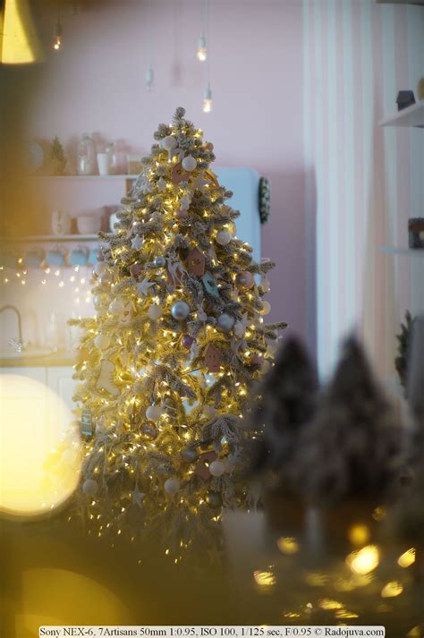 Краткий обзор Sony NEX-6 | Радожива