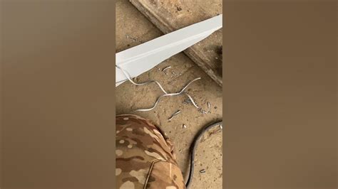 Ножницы по металлу, для металлочерепицы #кровля #ремонткровли # ...