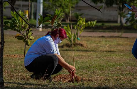 Desenvolvimento Ambiental Educação Ambiental Itinerante é o tema da