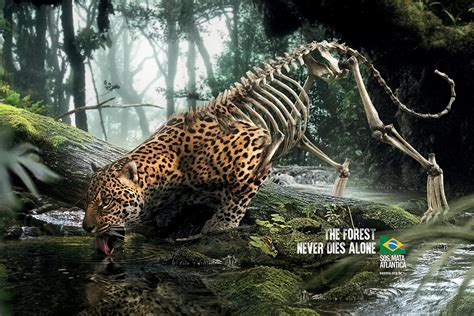 Emotional Appeal Advertising Examples
