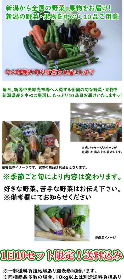 今が旬な野菜・果物15品セット 新潟産を中心に全国の定番旬野菜をお届け！