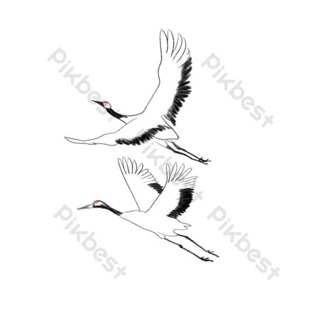 Cartoon Drawing Ink Bird Illustration PNG Images | PSD Free Download ...