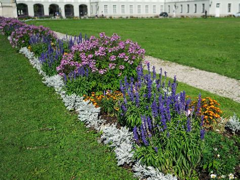 Цветник на участке: что нужно знать / Skillbox Media