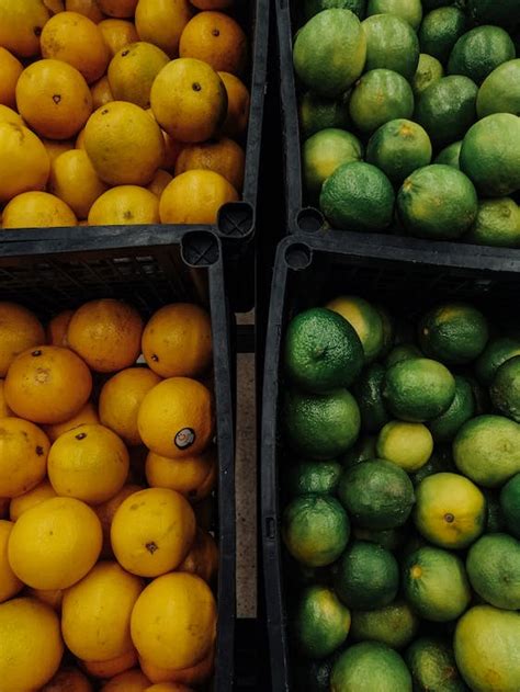 Fruits in Containers · Free Stock Photo