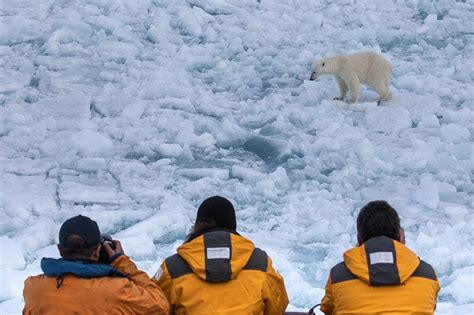 The Top 5 Arctic Landing Sites | Quark Expeditions