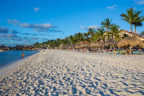 guide  flying  aruba casiola