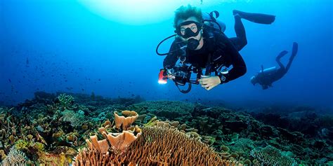 Explore Diving In Sri Lanka