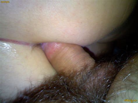 Amateur Photos 1252 IMG 532 Porn Pic