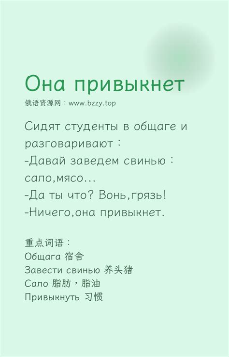 Этикет русского письма.PDF(中俄双版本)-俄语学习网