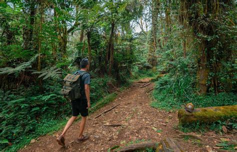 Guided Nature Walk Excursions Discover The Beauty Of Nature