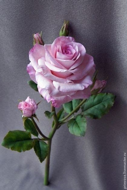 ОТТЕНКИ НЕЖНОСТИ (флористическая полимерная глина)