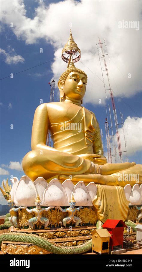 Golden Buddha Statue On The Top Of The Mountain Buddhist Temple Tiger