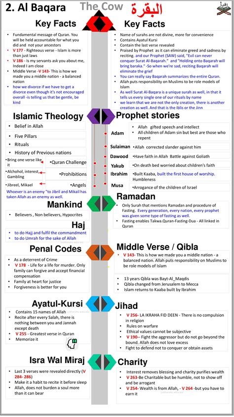 The Study Quran A New Translation And Commentary Le 8