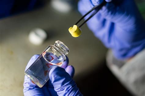 AEROGEL 1 [IMAGE] | EurekAlert! Science News Releases