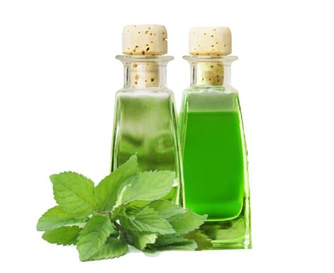 Extracts: Principles of Action and Application