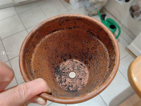 Deroma Pflanztopf Vaso Standard Terracotta Tonrot Ø 13 cm im Kanton