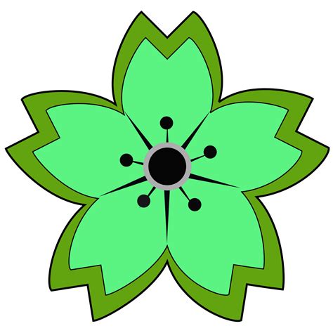 star flower  stock photo public domain pictures