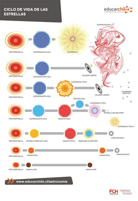 Ciclo De Vida De Las Estrellas