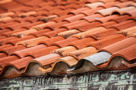 Naked Ambition Miriland