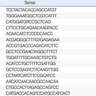 Sequence of polymerase chain reaction primers | Download Table