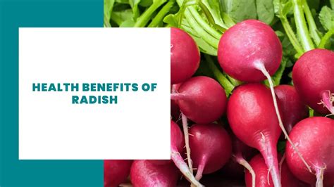 11 Health Benefits Of Radish