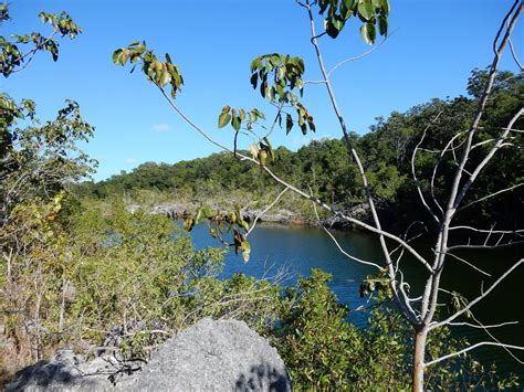 Dagny Johnson Key Largo Hammock Botanical State Park 拉哥島 旅遊景點評論