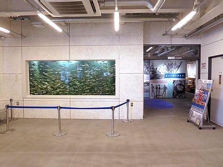 いわしの交流センター - Wikipedia