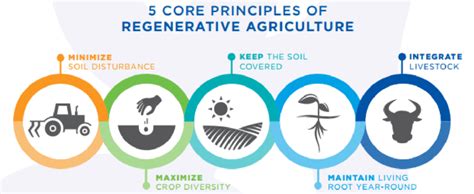 Regenerative Agriculture