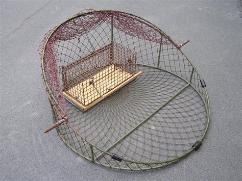 Ловля птиц. Безопасные методы