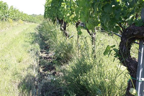 Johannes Zillinger - ENOTECA WINE