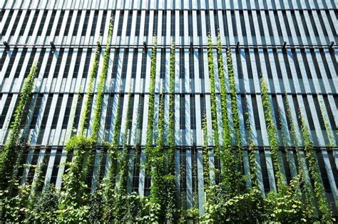 Green Walls Fassadenbegrünung Fassade
