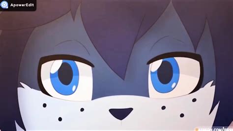 Straight Furry Porn