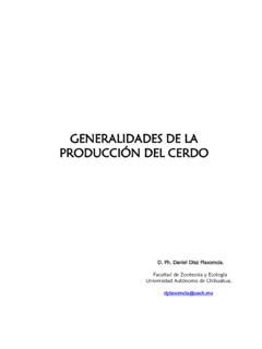 GENERALIDADES DE LA PRODUCCIÓN DEL CERDO generalidades de la producci