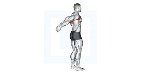 Internal Shoulder Rotation Stretch Guide Benefits And Form