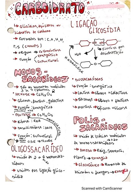 Solution Resumo De Bioqu Mica Carboidratos Studypool