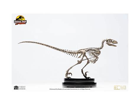 Toynami Jurassic Park Statue Velociraptor Squelette Bronze Cm