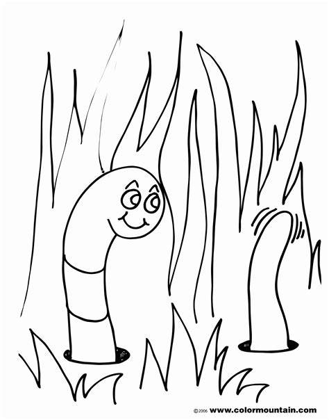 Earthworm Coloring Answers 1