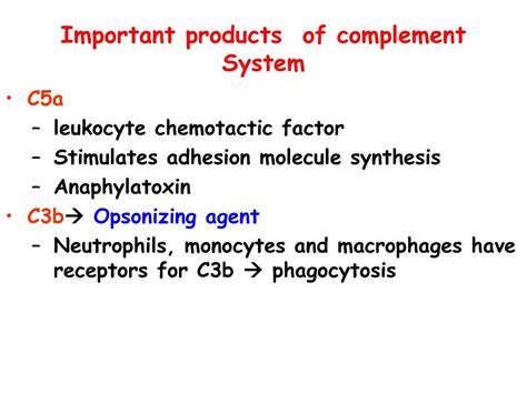 Acute Inflammation Part 2 Ppt Download