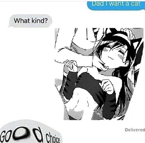 Dad I Want A Cat R Animemes Know Your Meme