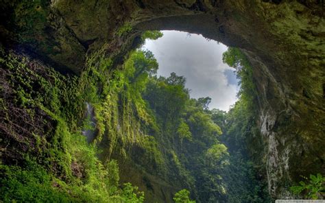 Sfondi : alberi, paesaggio, roccia, natura, grotta, giungla, foresta ...