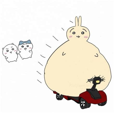 discover  chiikawa  usagi ideas   pinterest board cute