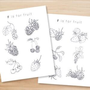 Fruit Coloring Sheet - Etsy