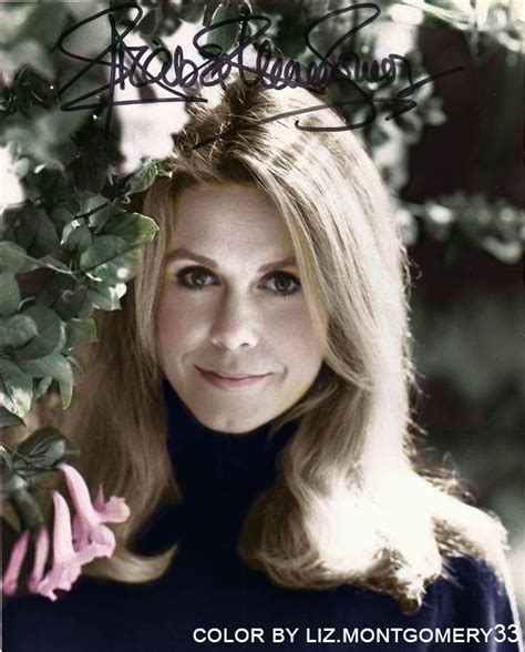 Elizabeth Montgomery Net Worth