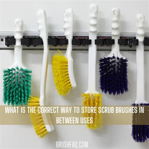 What Is The Correct Way To Store Scrub Brushes In Between Uses Brushfaq