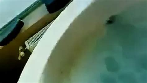 Romanian Porn Videos 9 XHamster