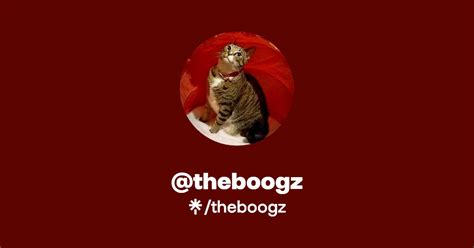 Theboogzs Link In Bio Music Merch And Socials Linktree