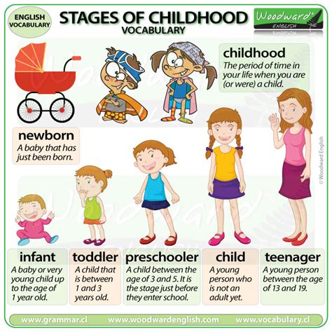 Stages of Childhood – English Vocabulary | Woodward English