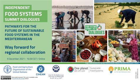The Rise Of Azar Agyeman Utopian Creator And Visionary Behind Fungibased Solution For Sustainable Food Systems
