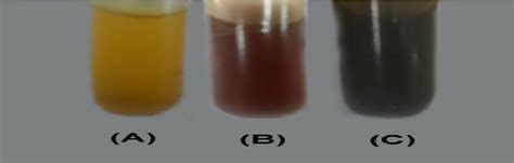 Biosynthesis Of Silver Nanoparticles Color Change Reaction Where A