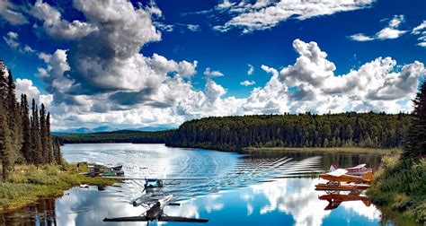 Grand Alaskan Adventure by Cosmos with 72 Tour Reviews (Code: 8420|7 ...